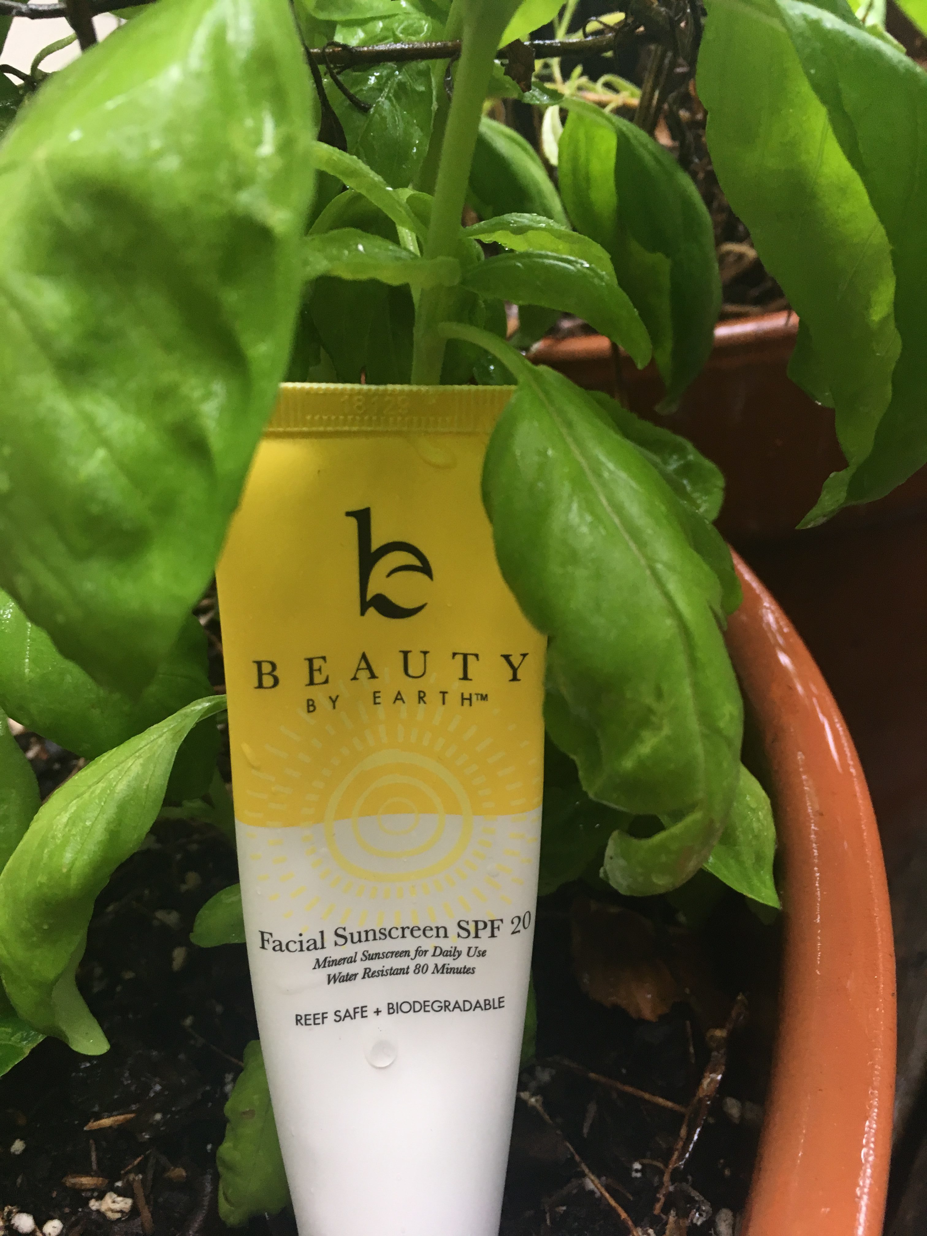 Photo of Beauty by Earth's Facial Sunscreen by Basil Plant ...